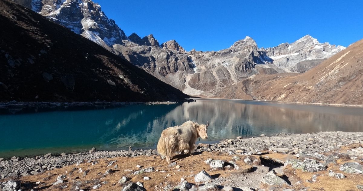 gokyo lake